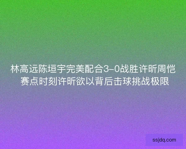 林高远陈垣宇完美配合3-0战胜许昕周恺 赛点时刻许昕欲以背后击球挑战极限