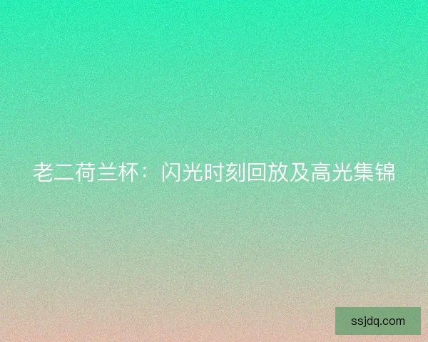 老二荷兰杯：闪光时刻回放及高光集锦